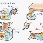猫のこと　猫に紙袋　2021/06/22